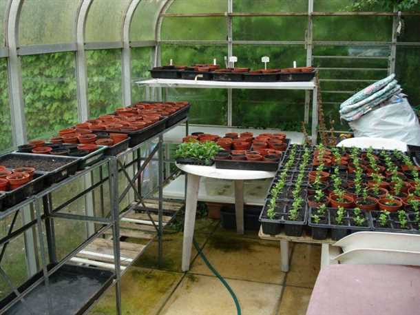 Преимущества стеллажей для хранения инструментов в теплице: