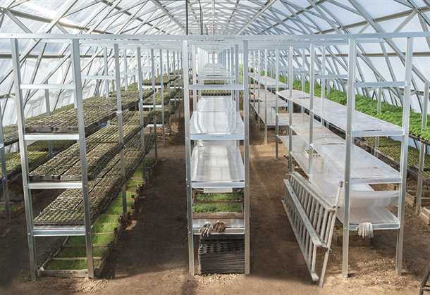 Преимущества стеллажей для теплиц: