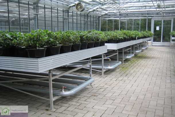 Стеллажи с системой полива для теплиц