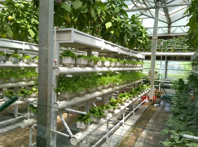 Преимущества стеллажей для небольших теплиц