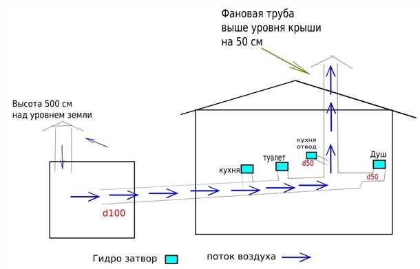 Виды