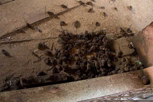 4. Обратитесь за помощью к специалистам