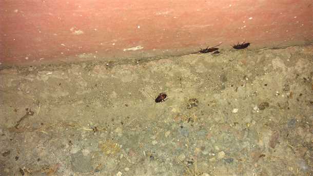 Укрытие и защита