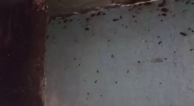 2. Запечатайте возможные доступы