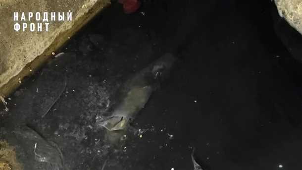 Устранение проблем