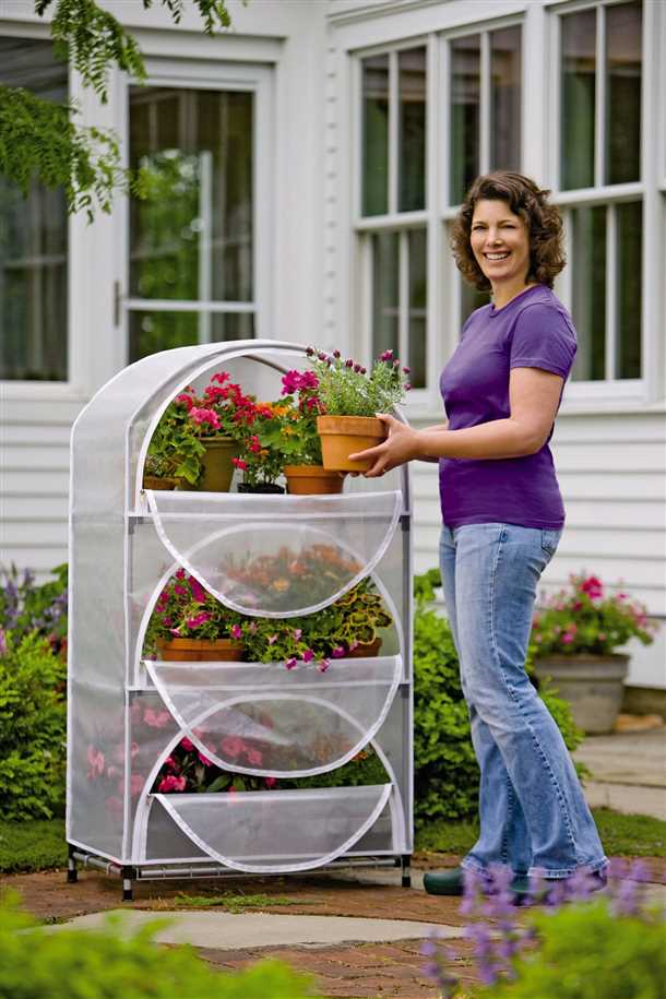 Улучшение микроклимата в доме