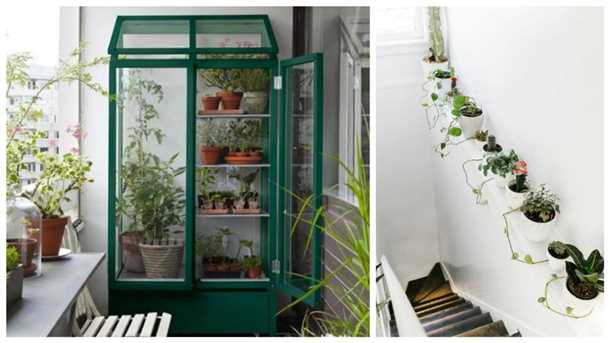 Экономия на покупке продуктов