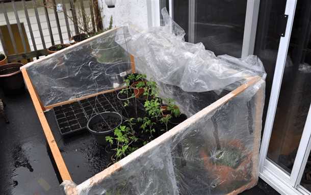 2. Устранение необходимости хранения и перевозки продуктов