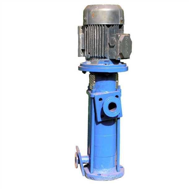 Центробежный вертикальный насос: все, что вам нужно знать!