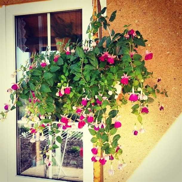 2. Ветровая нагрузка