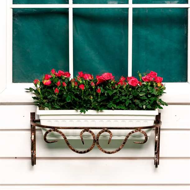 Выбор орхидей для балконных ящиков