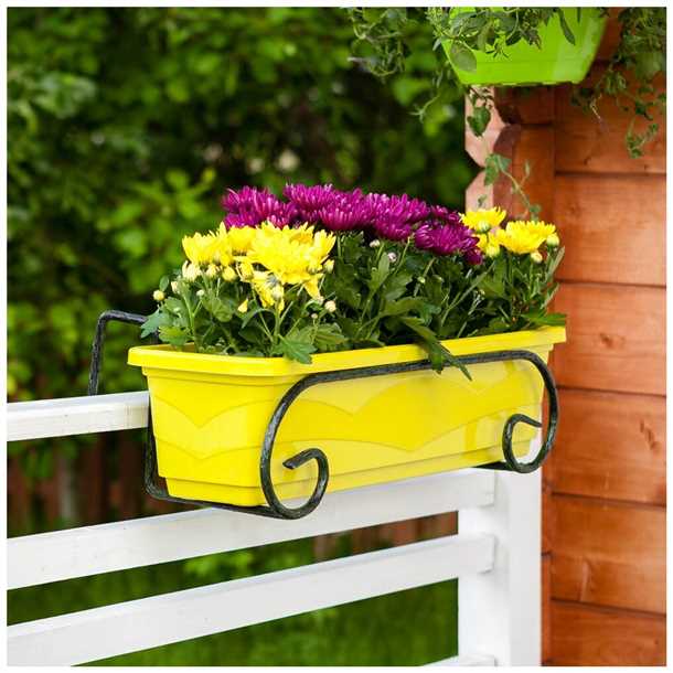 Лучшие растения для цветочного микса на балконе