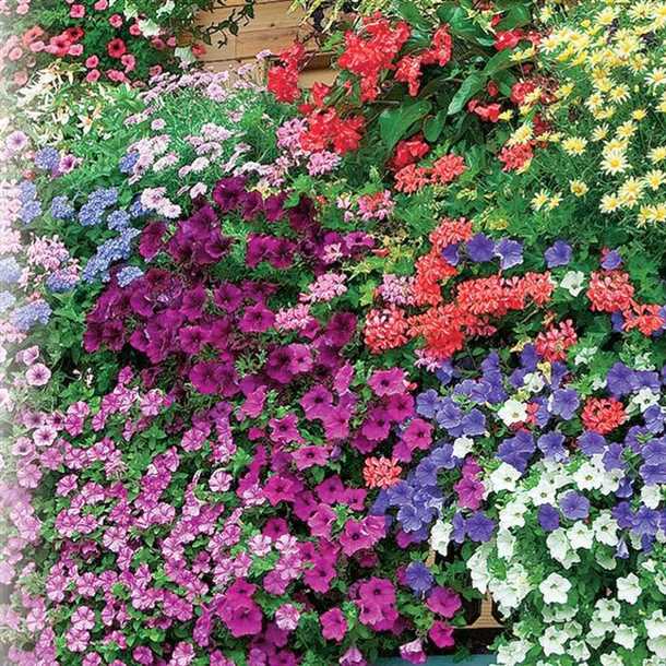 Учитываем условия