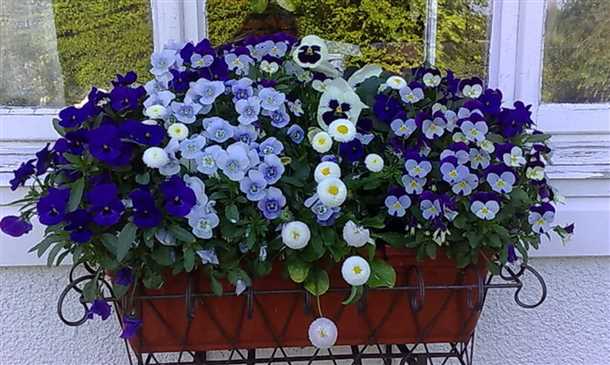 Приготовление грунта