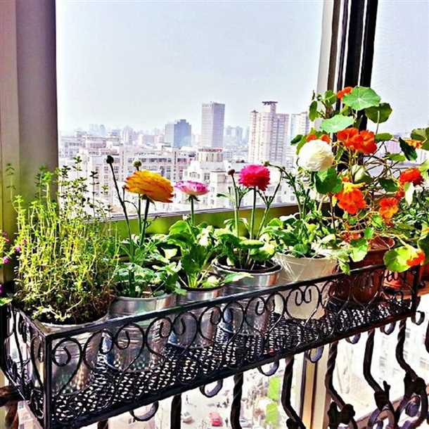 План информационной статьи