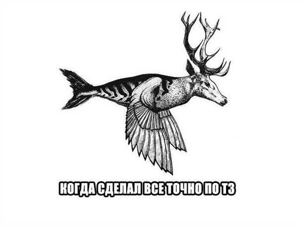 ТЗ отсутствует