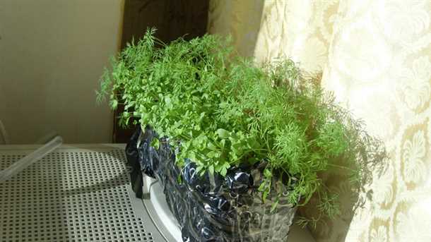 Защита от сквозняков