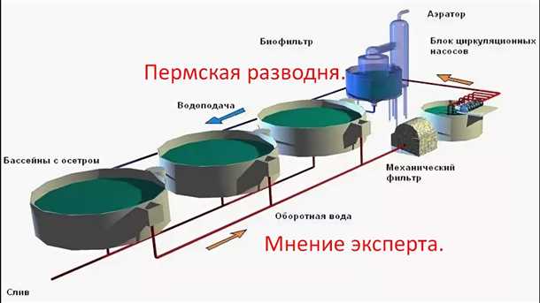 Установка замкнутого водоснабжения для осетра