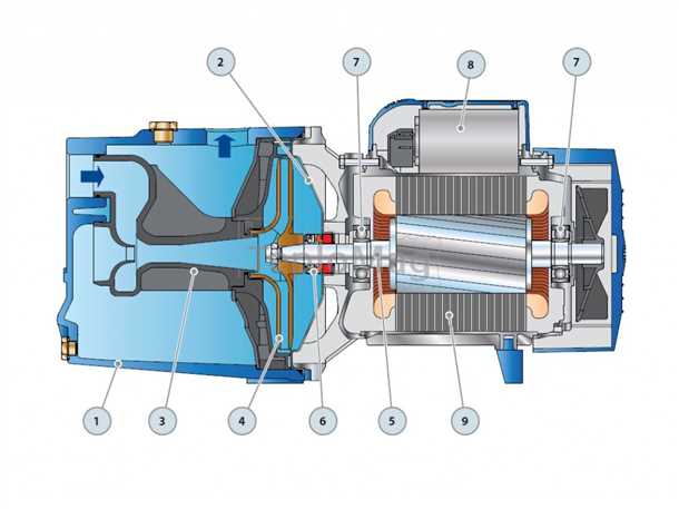 Отзывы и рекомендации по использованию насосной станции pedrollo