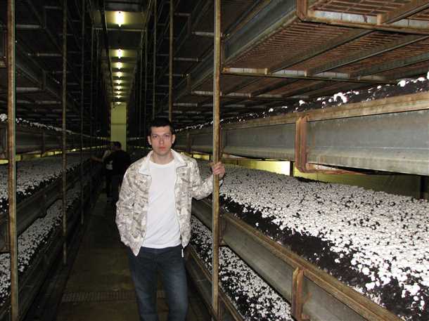 Подготовка гаража перед выращиванием