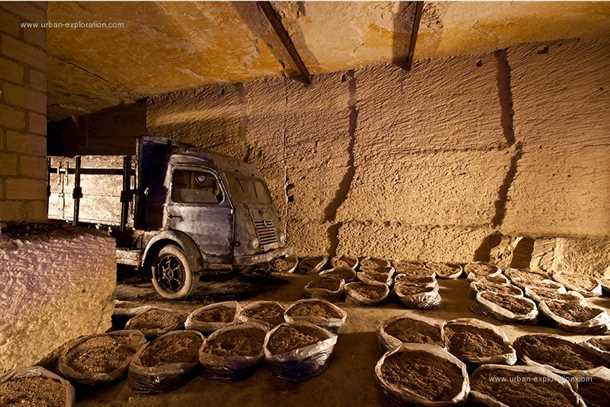 Уход за грибами: полив, вентиляция и контроль влажности