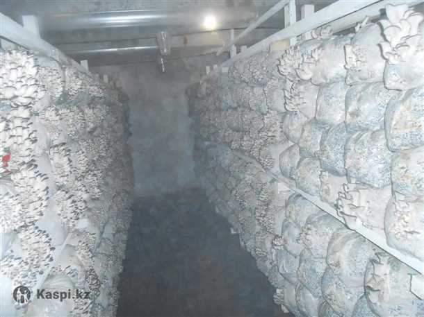 Приготовление субстрата: