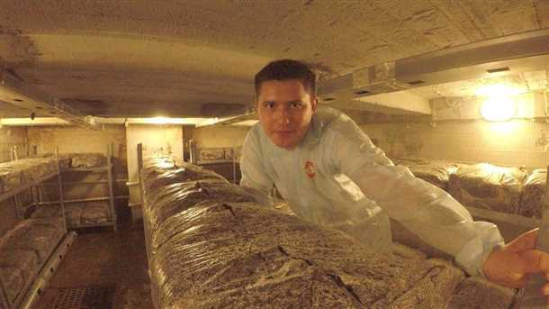 Выбор подходящего места в гараже