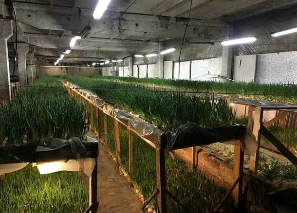 2. Подготовка почвы