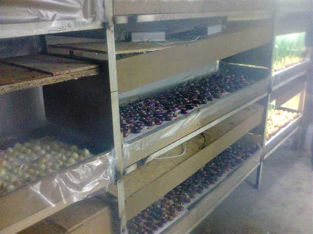 Шаг 1: Подготовка гаража