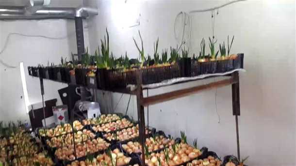 Подготовка грунта