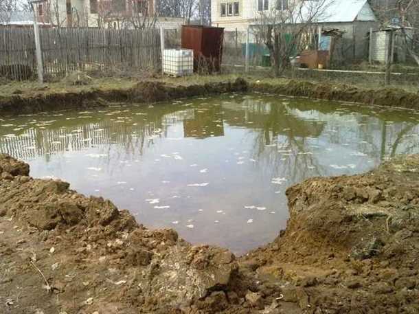 Проблемы, связанные с насекомыми в подвалах и погребах