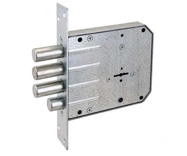 Усиленная защита гаража: врезные замки с дополнительными функциями