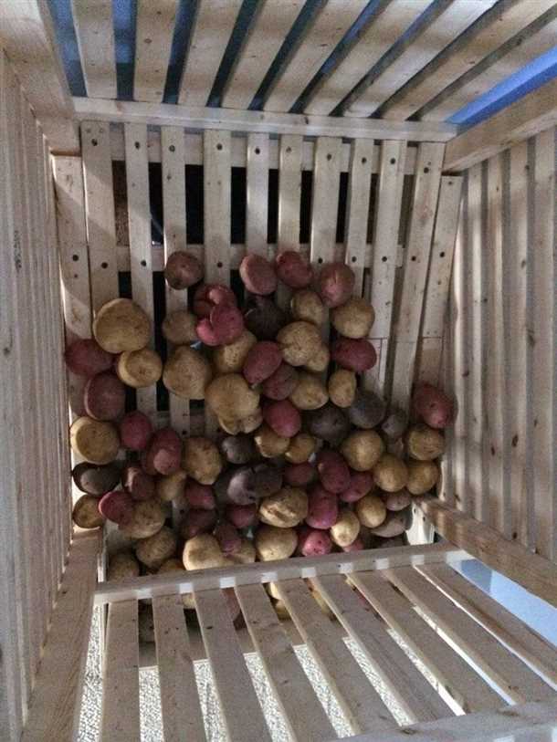 Тара для большого объема урожая: