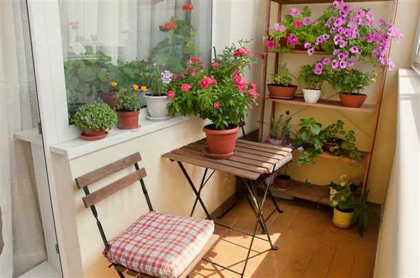 Зачем в квартире нужен балкон Зачем в квартире нужен балкон