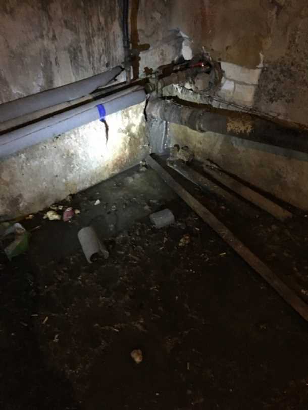 Профессиональные методы устранения запаха в подвале