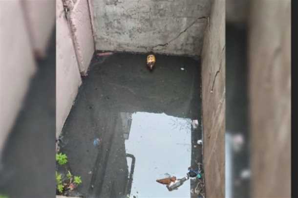 Правила вентиляции для предотвращения появления запаха