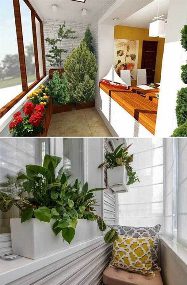 Оформление зимнего сада: стильные решения и актуальные тренды