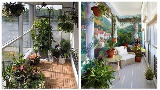 Зимний сад на балконе: возможности и советы Зимний сад на балконе